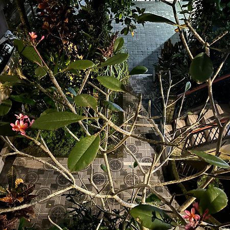 Balimas Guest House 우붓 외부 사진